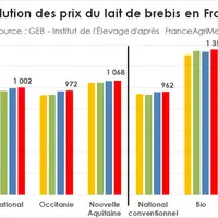 Le prix du lait de brebis est en hausse sur la campagne 2019-2020 avec un prix moyen national tous laits à 1 002 euros pour 1 000 litres. © GEB - Inst
