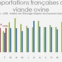 Importations françaises de viande ovine © GEB - Institut de l'Élevage ...