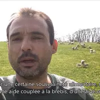Dans les vidéos, les éleveurs expliquent les atouts de l'élevage ovin pour nos territoires et l'importance de l'aide ovine pour les éleveurs de brebis