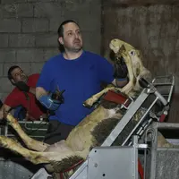 Un jour avec Simon Garnier et Sébastien Dubreuil, manucures des brebis