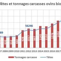 Têtes et tonnages d’ovins biologiques abattus, évolution de 2005 à 2019 © Revabio/Commission Bio ...