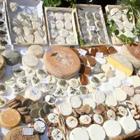 La présure végétale donne des résultats similaires dans la fabrication fromagère fermière. Des tests sont cependant recommandés.  © D. Hardy