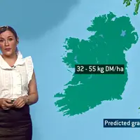 Les prévisions de pousse de l'herbe sont partagés une fois par semaine sur la télévision nationale.  © RTE