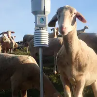 Les stations météos connectées n'ont pas encore vraiment montré leur utilité en élevage.  © Weenat