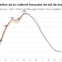 Evolution de la collecte française de lait de brebis  © GEB - Institut de l'élevage ...