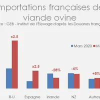 Importations françaises de viande ovine © GEB - Institut de l'Élevage ...
