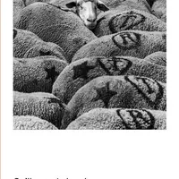 Abécédaire un peu vache des alpages © Glénat