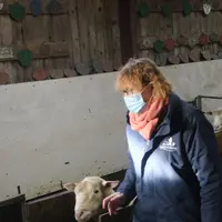 Il est indispensable, dans les élevages touchés par la fièvre Q, que l'éleveur et ses salariés disposent de moyens de protection contre cette maladie
