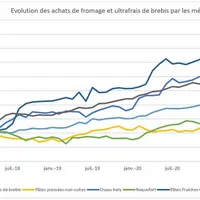 © GEB - Institut de l'Elevage