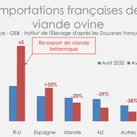 © GEB - Institut de l'élevage