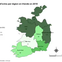 La production ovine irlandaise est concentrée sur les régions du nord, avec une météo plus fraîche et plus humide et ds parcelles herbagères plus diff