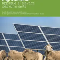 L'Idele propose un guide pratique pour monter son projet d'agrivoltaïsme.