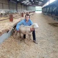 Antoine Lefevre, éleveur sélectionneur Ile de France dans l’Oise et heureux propriétaire d'un bélier à 2 640 euros.