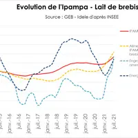 Flambée des charges en brebis laitières depuis un an