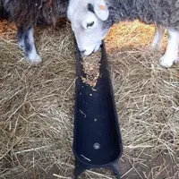 Contrairement au bois, l’auge en plastique permet d’éviter que les animaux se blessent avec des échardes.