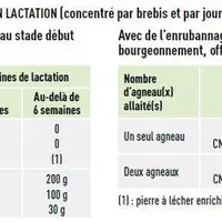 Le Ciirpo donne des exemples de rations pour les brebis en lactation qui reçoivent à volonté de l'enrubannage soit de graminées soit de légumineuses.S