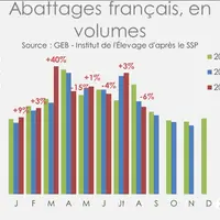 Source : GEB - Institut de l'Elevage d'après le SSP