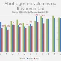 Source : GEB - Institut de l'Elevage, d'après AHDB