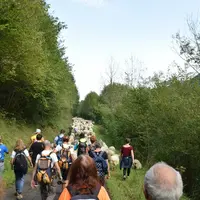 La fête organisée par l'AOP ossau iraty pour ses 40 ans à Licq-Athérey (64) attiré un nombreux public qui a pu accompagner la descente d'estive de six