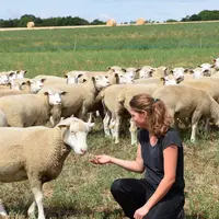 Selon leur profil, les éleveurs ovins n'ont pas la même approche du métier : certains chercheront plus l'innovation et l'investissement tandis que d'a