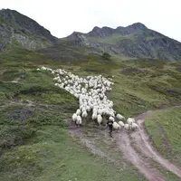 Un jour avec Fabienne et Jean Laher, éleveurs ovins transhumants dans les Pyrénées