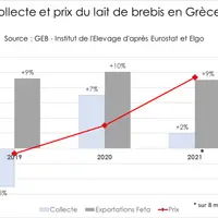 Forte hausse des prix du lait de brebis en Grèce