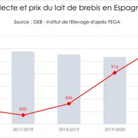 Espagne : stagnation de la collecte du lait de brebis malgré la forte hausse des prix