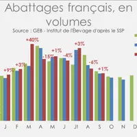 Des abattages d'ovins français en légère hausse en septembre