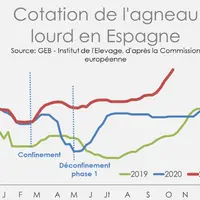 Cotation des agneaux lourds espagnols