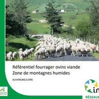 Le référentiel propose des schémas d’utilisation de la ressource en herbe par période