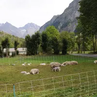 La position des filets et clôtures mobiles de pâturage peut être optimisée par l'analyse de la quantité d'herbe disponible.