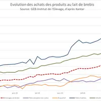Consommation : dynamiques contrastées entre les produits au lait de brebis