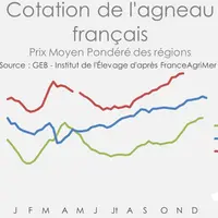 Le manque d’offre tire la cotation française