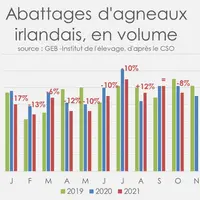 L'agneau nord-irlandais affecte la production