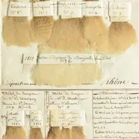 Photographies, échantillons de laine, gravures ou aquarelles témoignent de l'évolution du troupeau de Rambouillet.