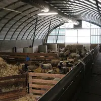Le tunnel dédié à l'engraissement des agneaux comporte une gaine de ventilation sur toute la longueur du bâtiment ainsi qu'une chaîne d'alimentation q
