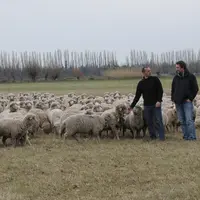 Se faire accompagner dans la lutte dans le piétin permet de garder la motivation même face aux coups durs.