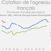 Source : GEB - Institut de l'Elevage d'après FranceAgriMer