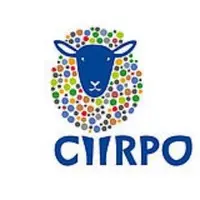 Le Ciirpo se dote d'un nouveau site et d'un nouveau logo.