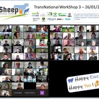 Le dernier atelier Eurosheep a réuni 110 participants à distance.