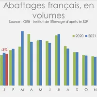 GEB - Institut de l'Elevage d'après le SSP