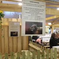 Pas de brebis corses au Salon de l'agriculture cette année. L'OS Corse proteste contre une réglementation dénuée de réalité qui plombe les exports de