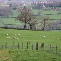 Les parcelles morcelées typiques de la Bourgogne demandent une gestion de l'herbe précise qui peut s'avérer chronophage.