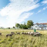 La participation à Made In Viande permet aux éleveurs de faire découvrir leur métier et les pratiques d'élevage.