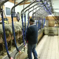 FCEL et Allice ont fusionné pour créer Eliance, une fédération de réseaux de conseils et services en élevage de ruminants.