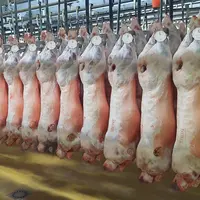 Parmi les 3 000 carcasses vendues durant la semaine pasquale, les 300 meilleures ont été choisies pour constituer la "Sélection Or".