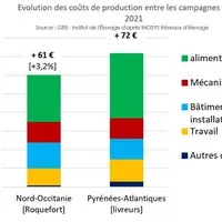 Nette hausse des coûts de production 2021 en ovin lait