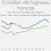La cotation française de l’agneau en légère hausse