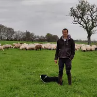 Passionné depuis toujours par l'élevage ovin, Sébastien Martin s'est installé dans la Vienne il y a deux et élève 600 brebis.