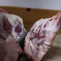 En fonction de l'expérience, le temps de découpe d'un agneau peut fortement varier, mais il faut compter 20 minutes minimum. Un temps à intégrer dans